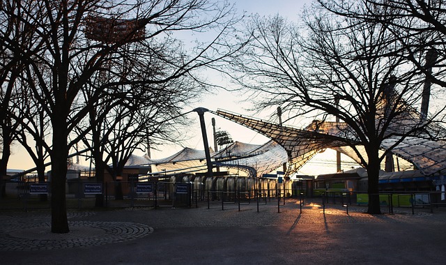 向世界展示