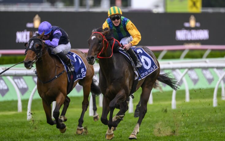 让我们看到 让我们看到