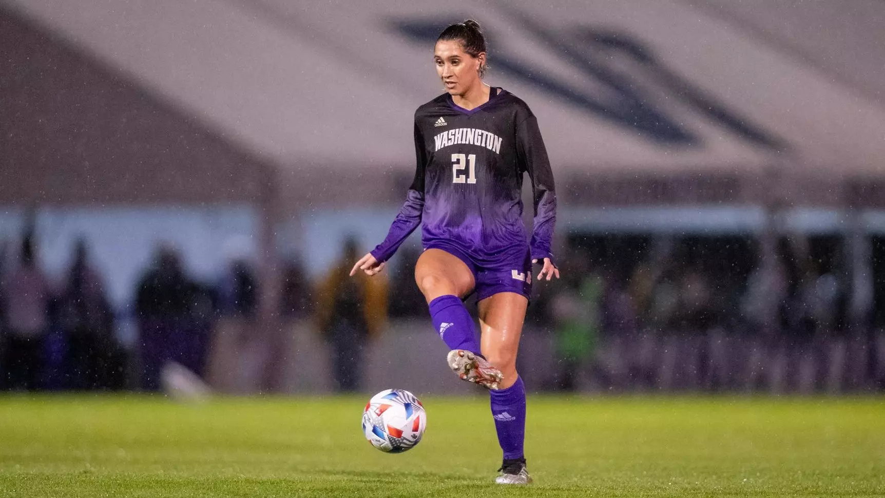 种业市场持 种业市场持