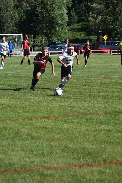 大马公开赛第4日国羽8胜2负 石宇奇李诗沣会师4强.